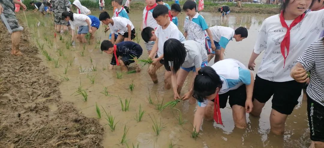 【新时代好少年】安顺市第五小学到平坝区"昊禹·稻花乡里"开展农耕