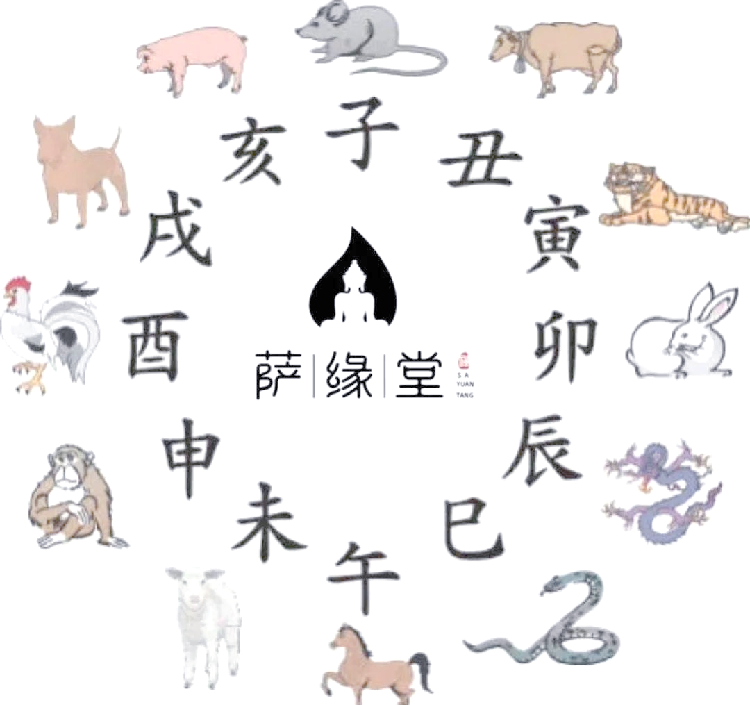 传统生肖时辰的运势(生肖时辰命运)