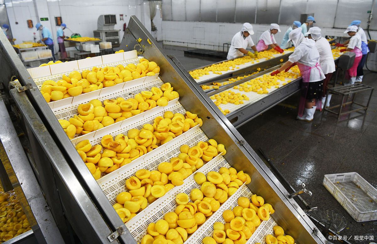 前卫机械芒果加工生产线