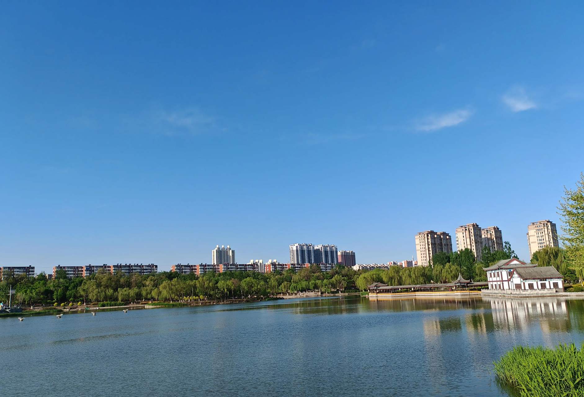 家乡美# 分享一组我的家乡河北省唐山市丰润区还乡河公园雨后清新