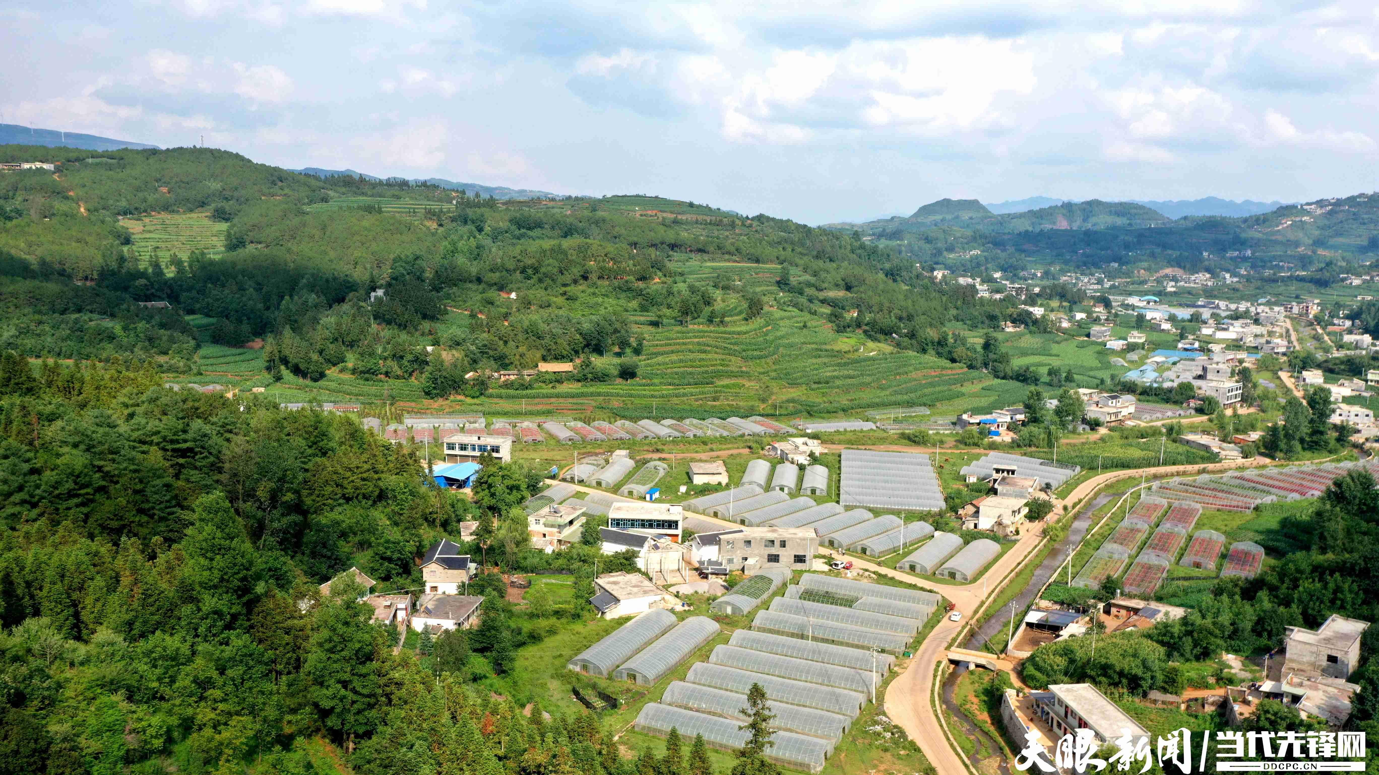 「天眼影像」威宁盐仓镇:大棚蔬菜丰收在望