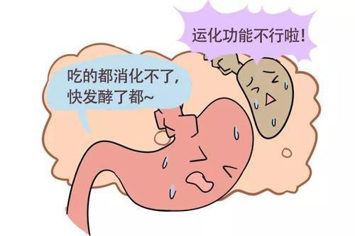 吃得不多但又胀气,中医:脾胃虚寒,2款汤方助改善