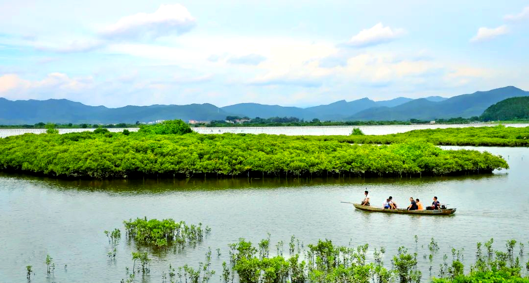 横陂镇:积极发展海洋经济,激活"蓝色粮仓"潜能