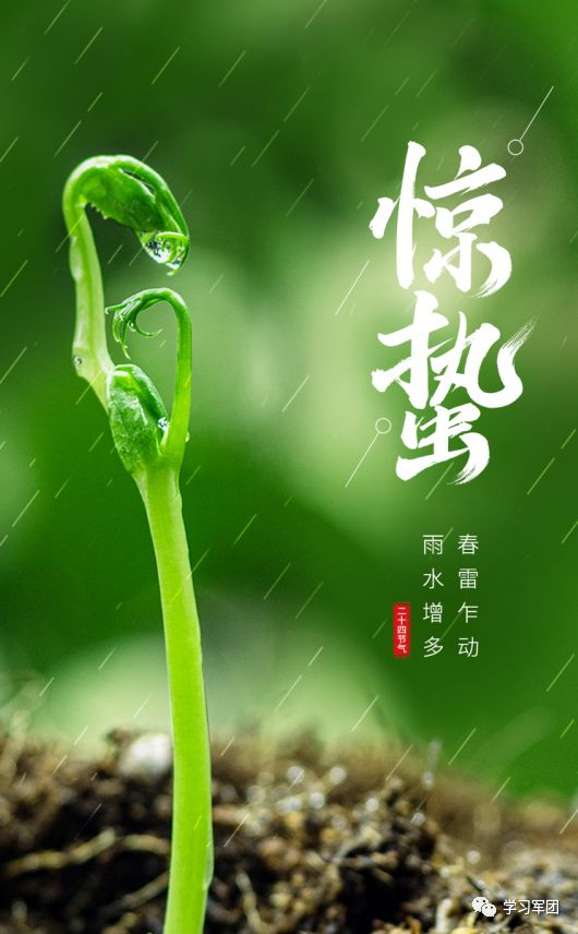 惊蛰到了,春雷乍动,万物复苏!