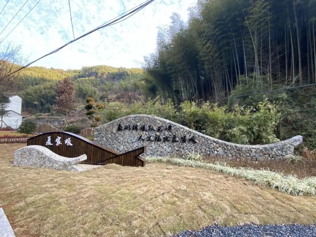 缙云夏家畈,展示共富路上的"山村形象"