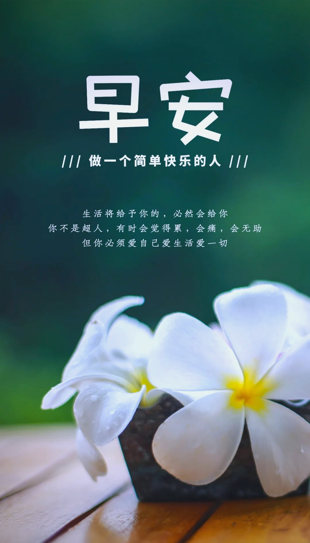 早安温馨人生感悟语录