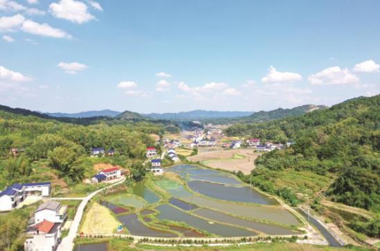 这样靓美的风景,竟然就在宁乡这个地方