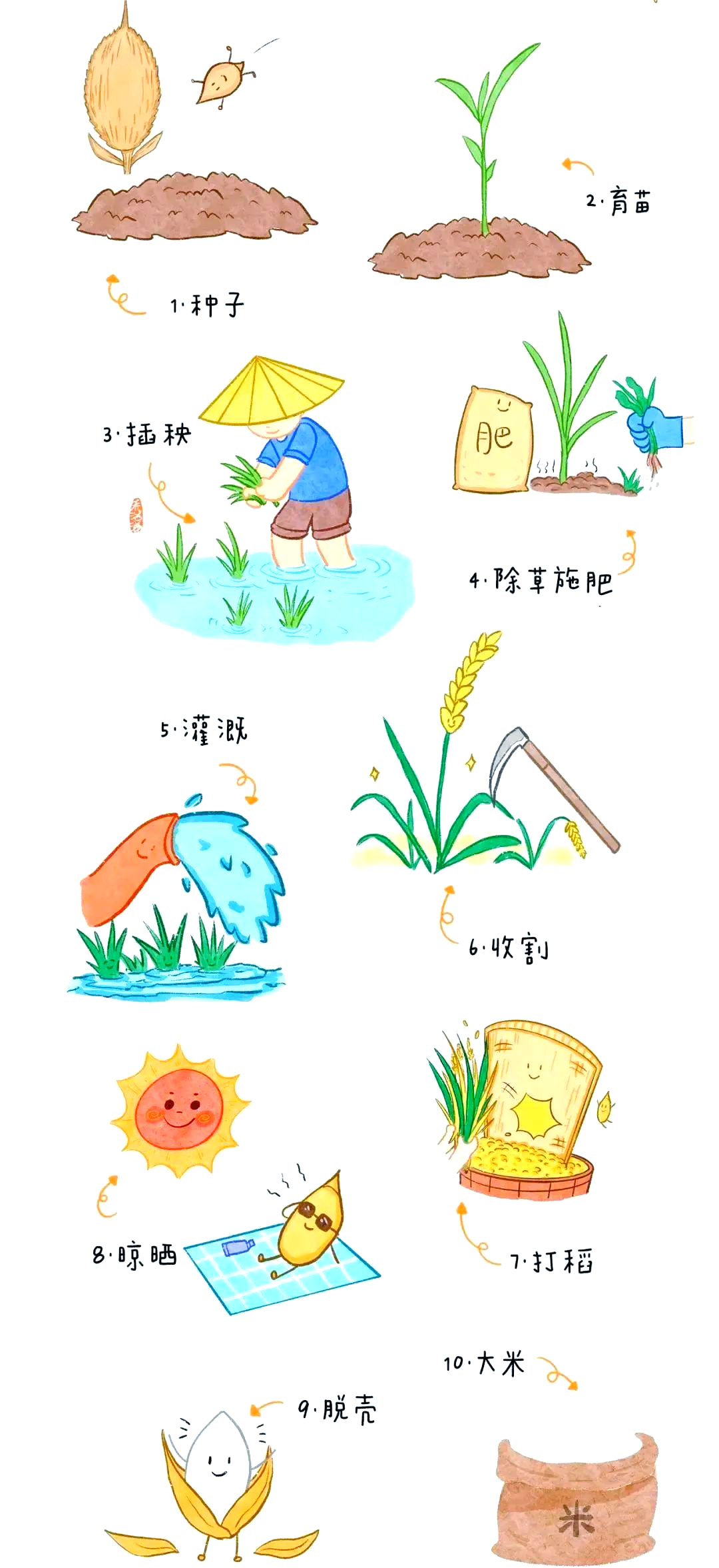 亲子活动|体验丰收的喜悦,感受农耕文化的魅力!