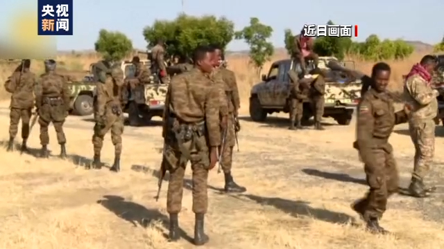 埃塞俄比亚就提格雷州局势召开发布会:过渡政府将在民主选举后结束