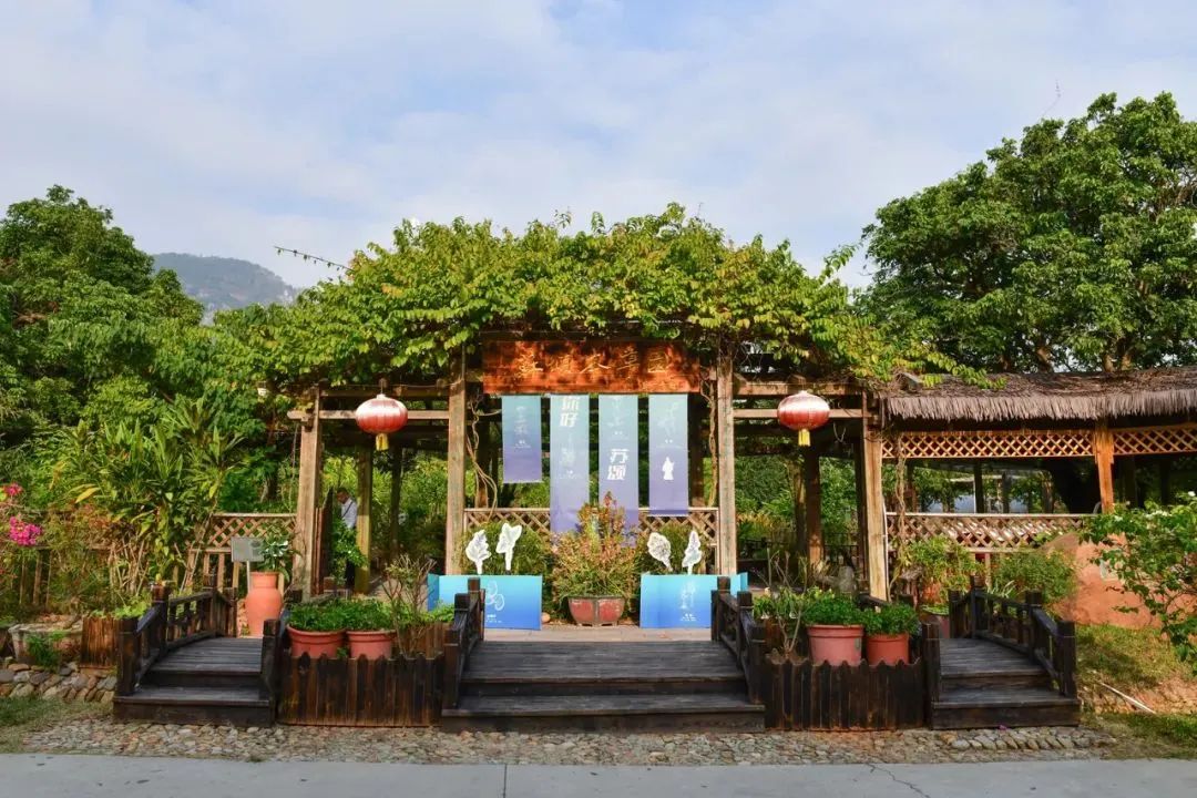 厦门这可太牛了世界钟表业的鼻祖竟是同安人