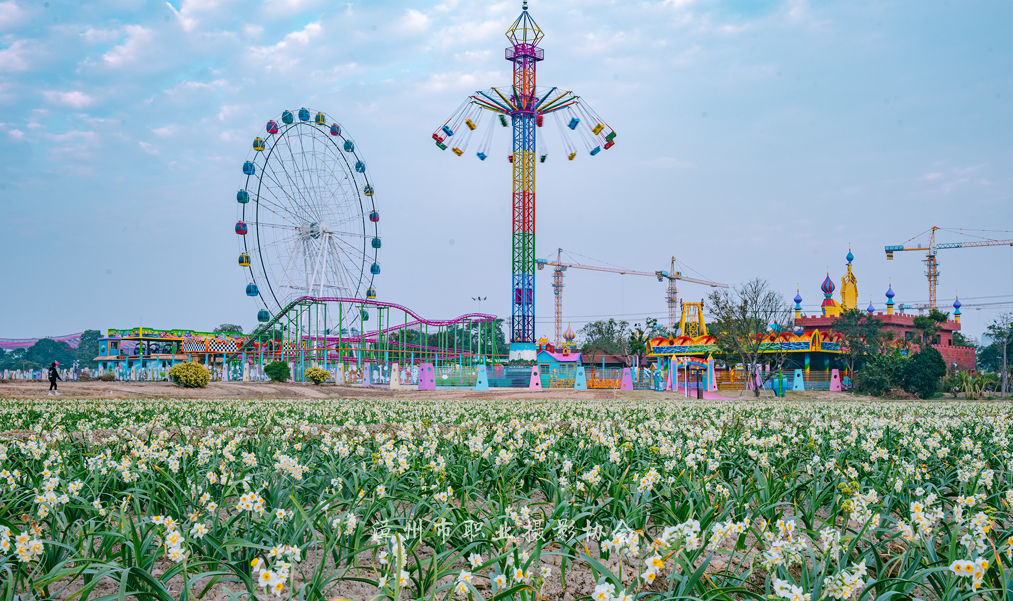 漳州花海图片