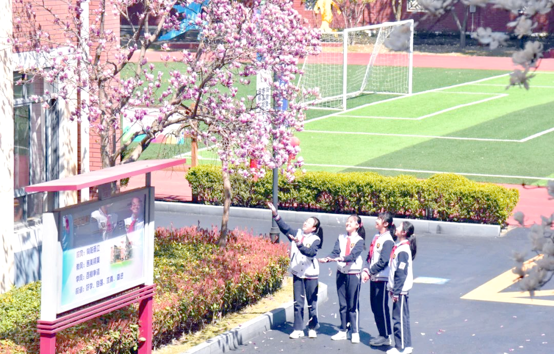 上海市园南中学诚邀教育英才,共创教育未来