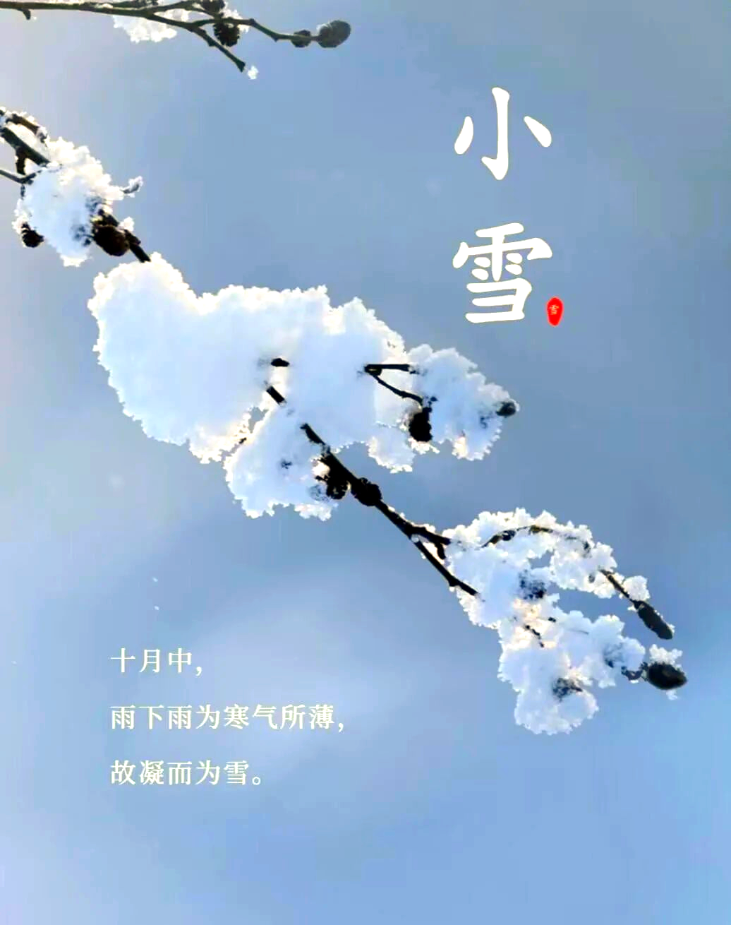 小雪时节,冬日美景如盛装