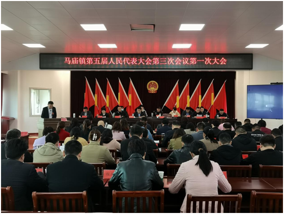 怀宁县马庙镇第五届人民代表大会第三次会议胜利召开