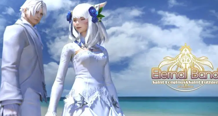 ff14波导是什么意思