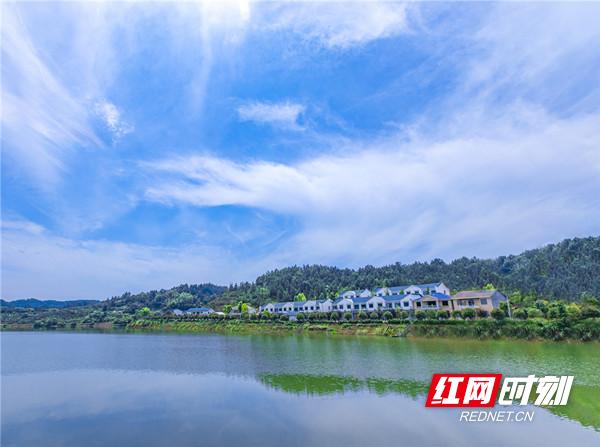 区县动态 | 浏阳市中和镇:"效"字为要,擦亮生态环境底色