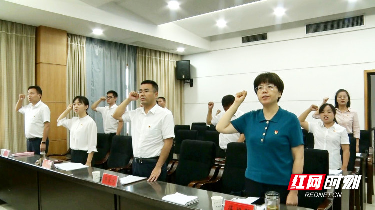 临澧县政府办机关党支部召开党员大会 蒋颖群上党课
