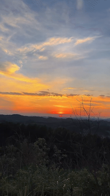 360_640竖版 竖屏gif 动态图 动图