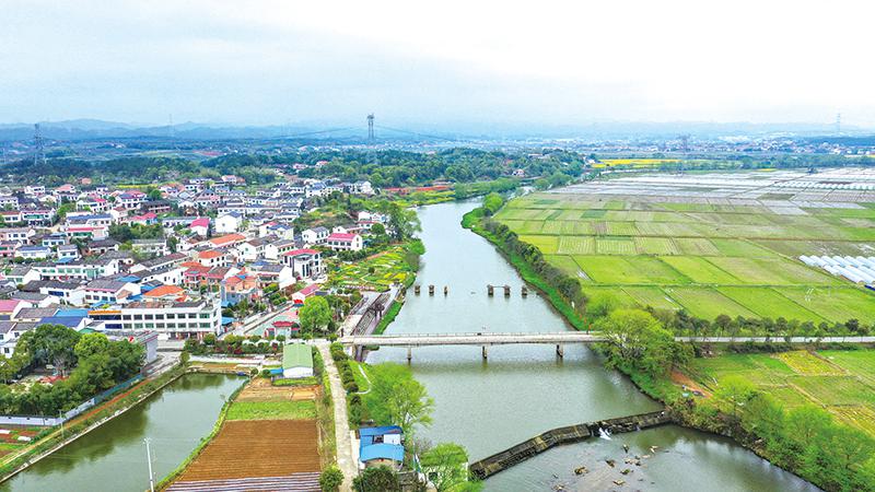 乡村振兴看浏阳丨沙市镇秧田村:研学标杆,书香秧田