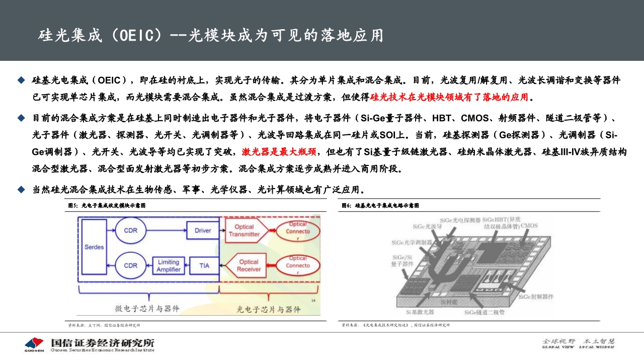 光通信产业专题报告:硅光模块大有可为