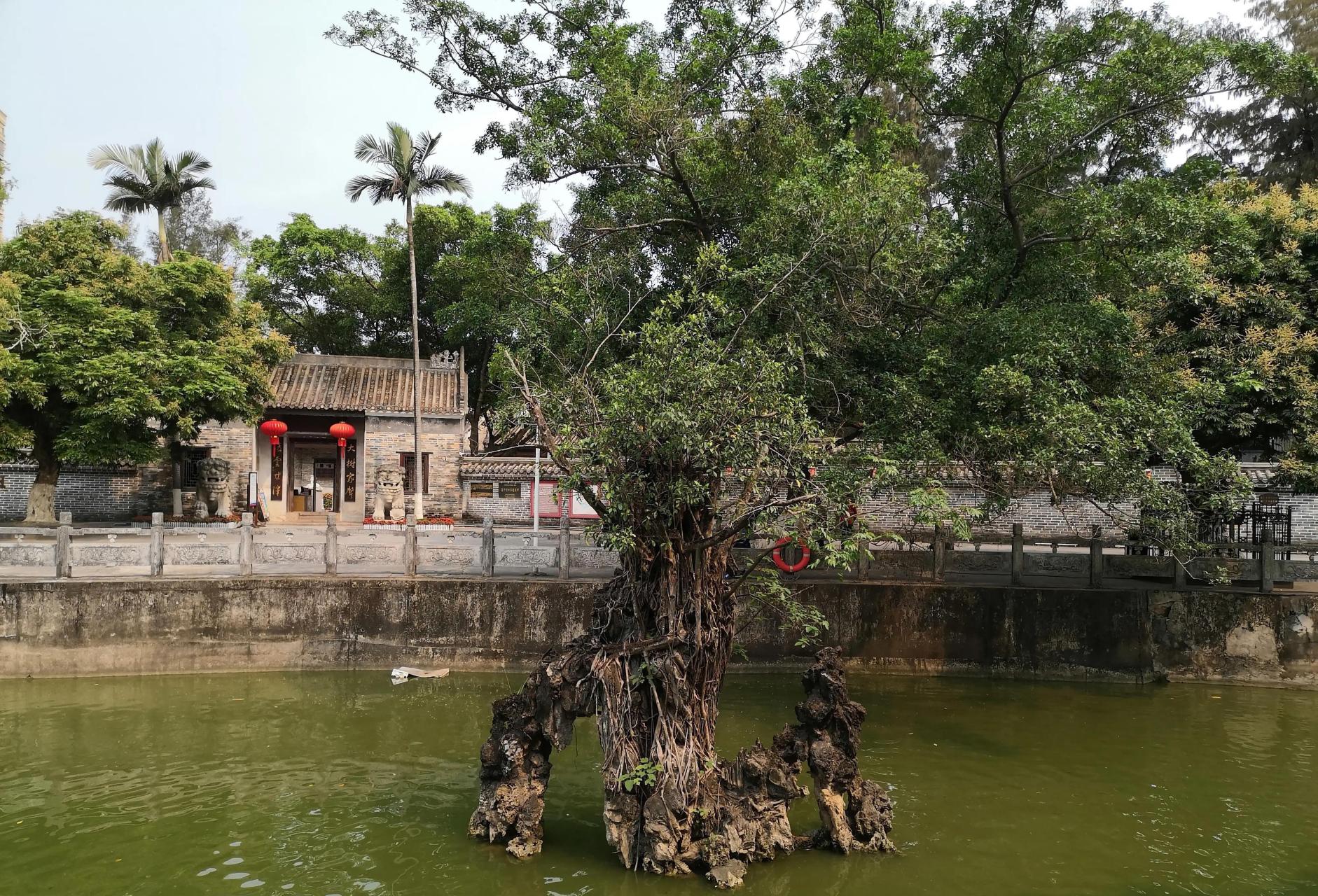 冯子材故居又名宫保第,在钦州市钦州镇白水塘村,是冯子材退居时的住所