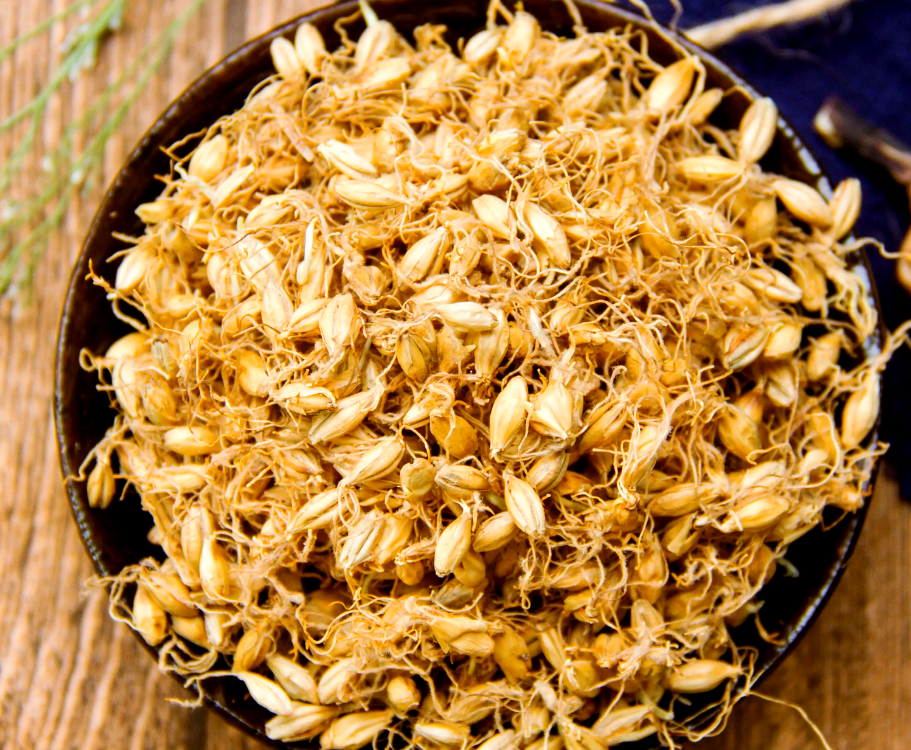 生麦芽的多种功效与作用介绍