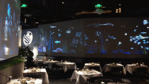 当餐厅遇上全息投影：创新科技在用餐体验中的崭新篇章