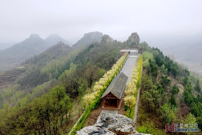 蒙阴崮上草原门票图片