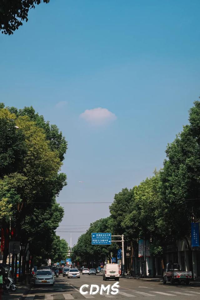 成都双流的九江镇,一个肥肠小镇