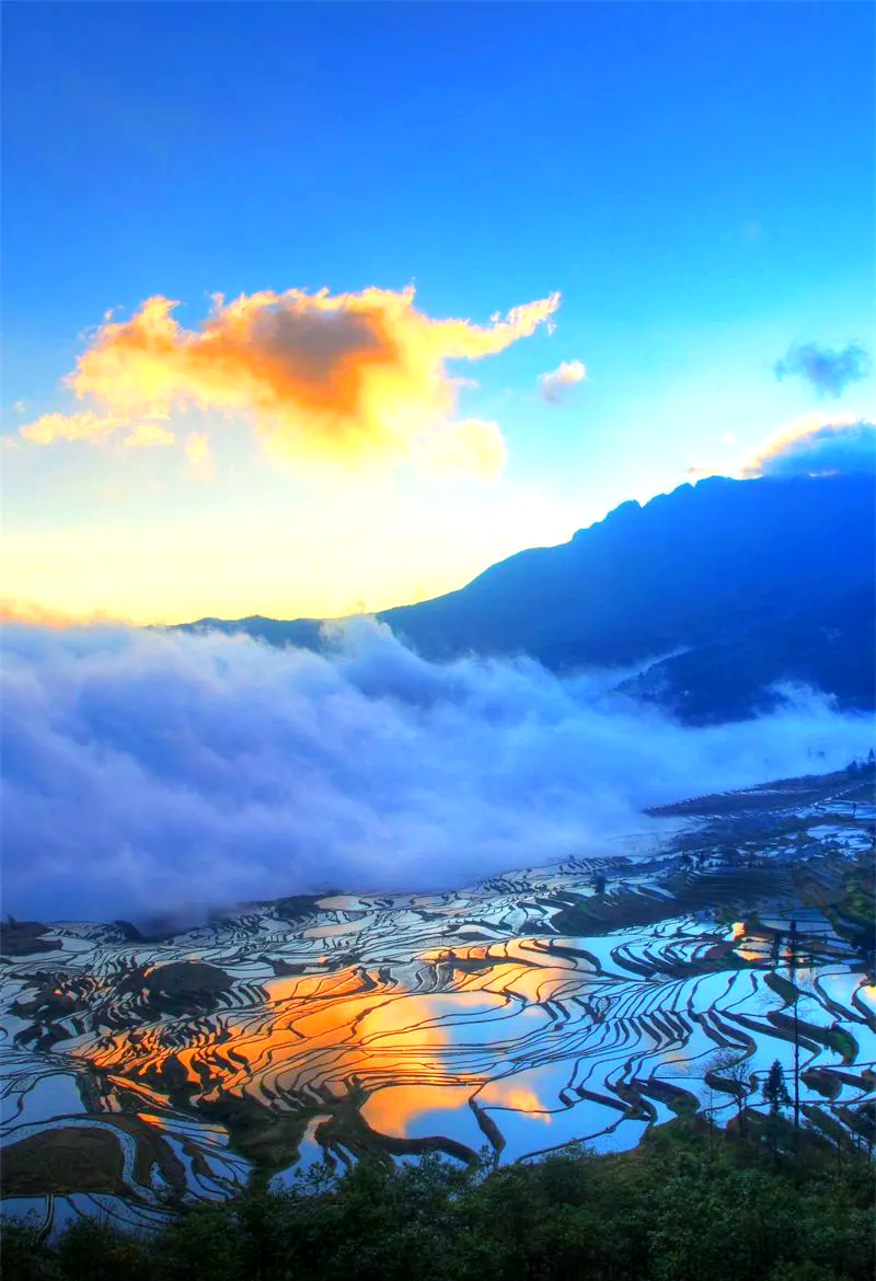 红河哈尼梯田:冬日的光影盛宴与多彩生态之旅