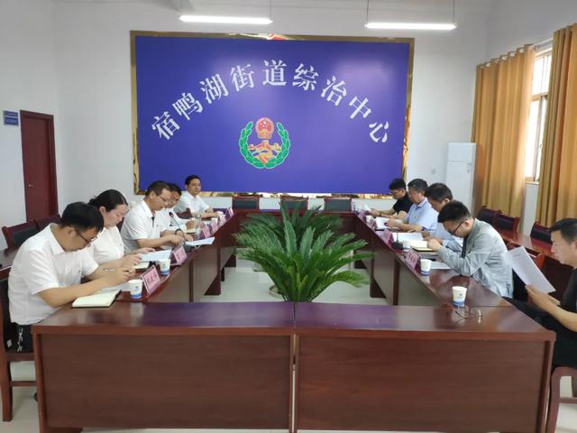 市委党史学习教育巡回指导组到汝南县宿鸭湖街道指导工作