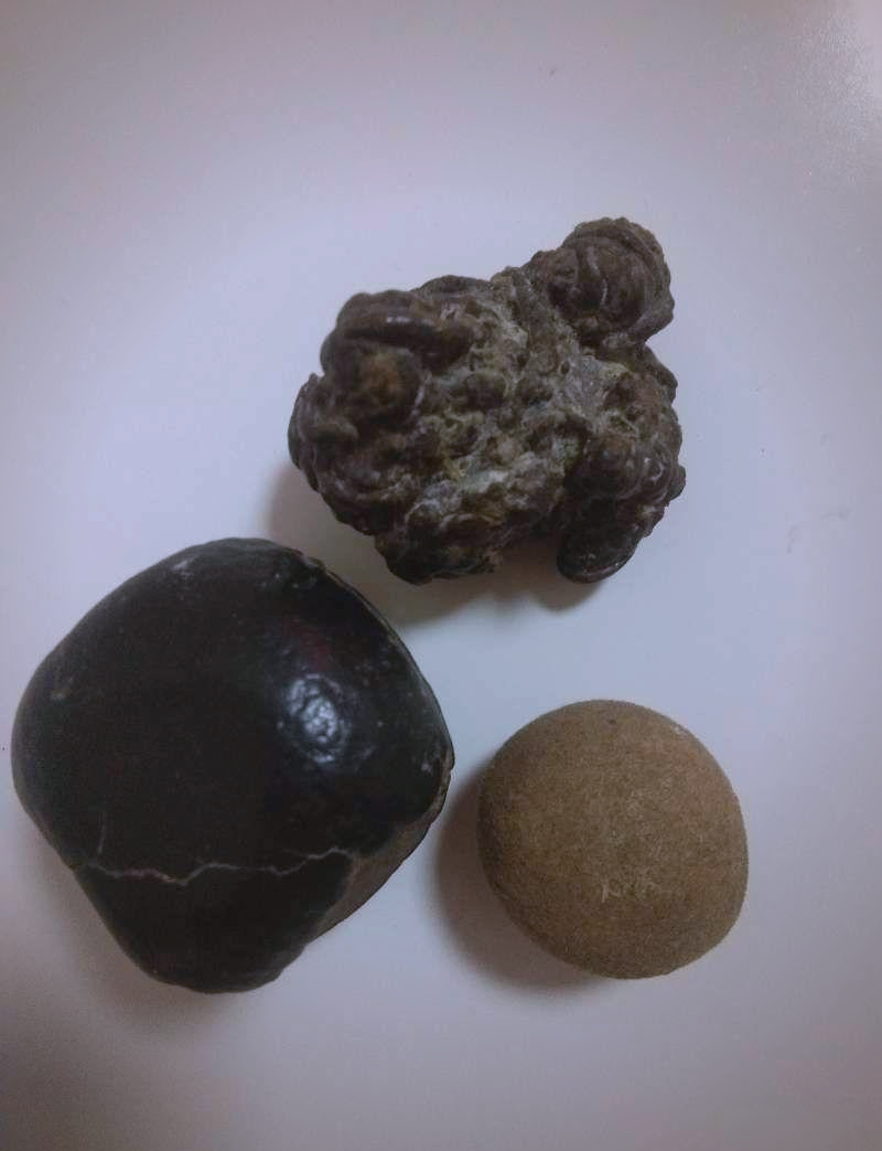 羊宝的珍贵探索:从故宫专家推荐的艺术品到藏品