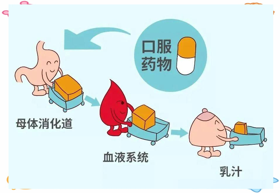 药物代谢动力学:药物在体内从吸收至排泄的全过程
