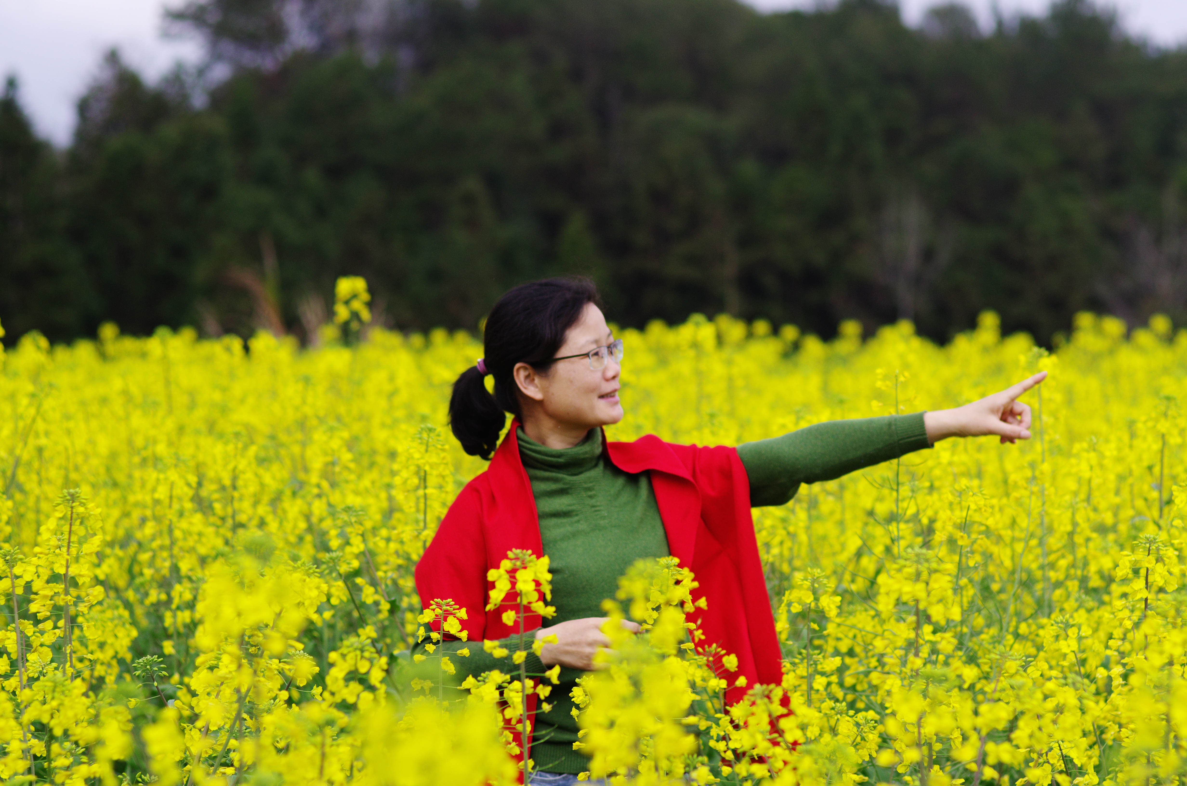 宁海桑洲油菜花图片