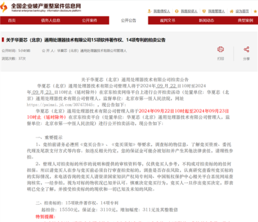 国产芯片企业华夏芯破产清算：域名等资产被公开拍卖！