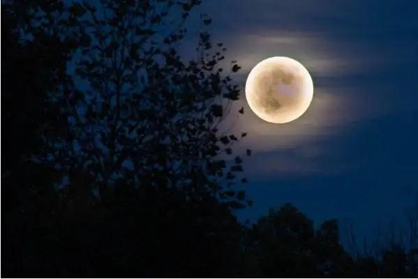 月上中天什么意思