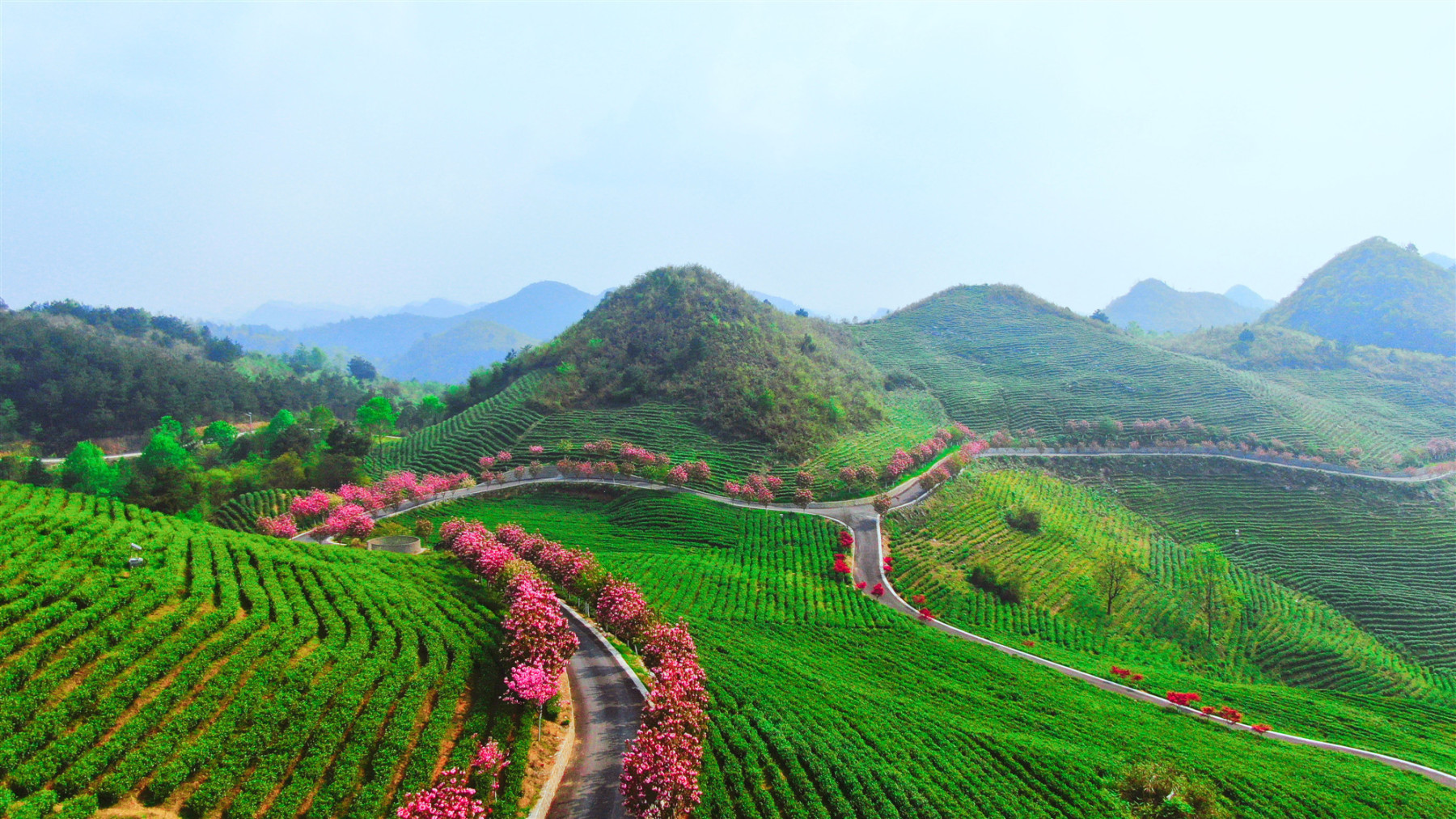 「聚焦惠水两会」未来五年,惠水县奋力推动旅游产业化大提质