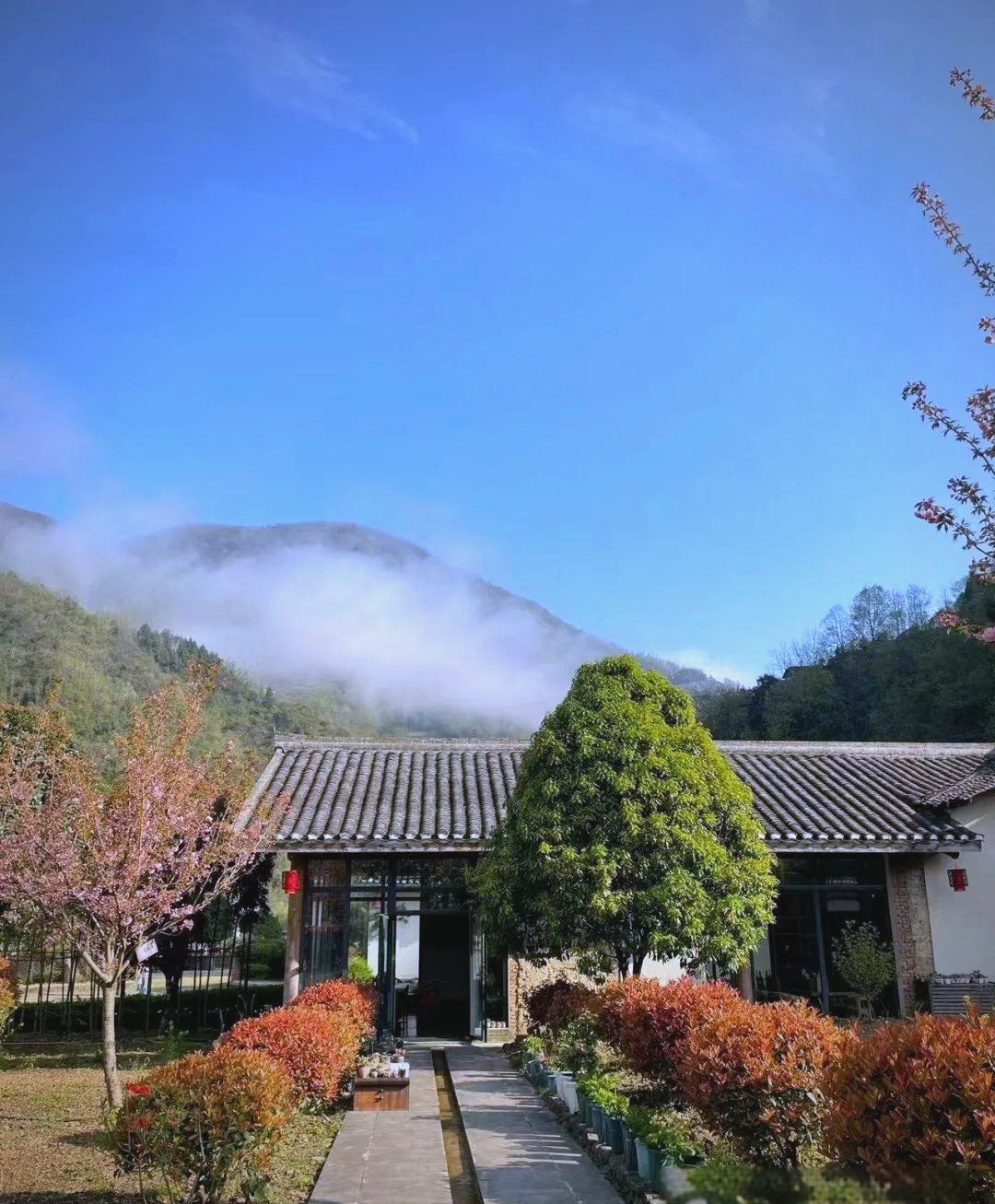 紫阳的宝藏民宿,你不可错过!
