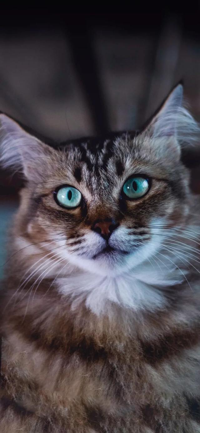 我开心我乐意.个性壁纸