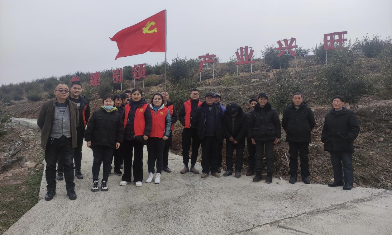 澧县火连坡镇:抓实党员冬春训 凝心聚力促振兴