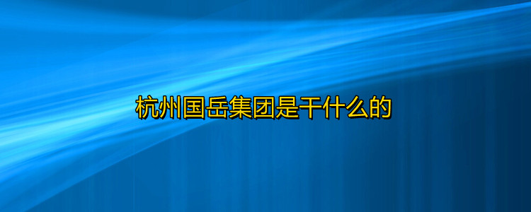 国岳集团董事长背景图片