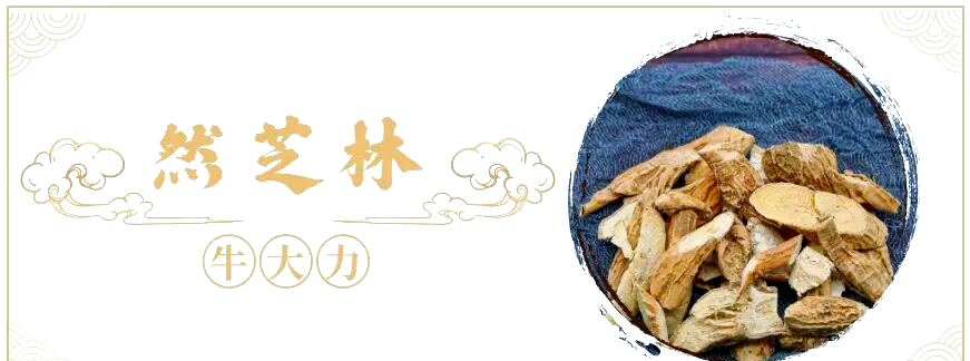 中药牛大力产地哪里最好用