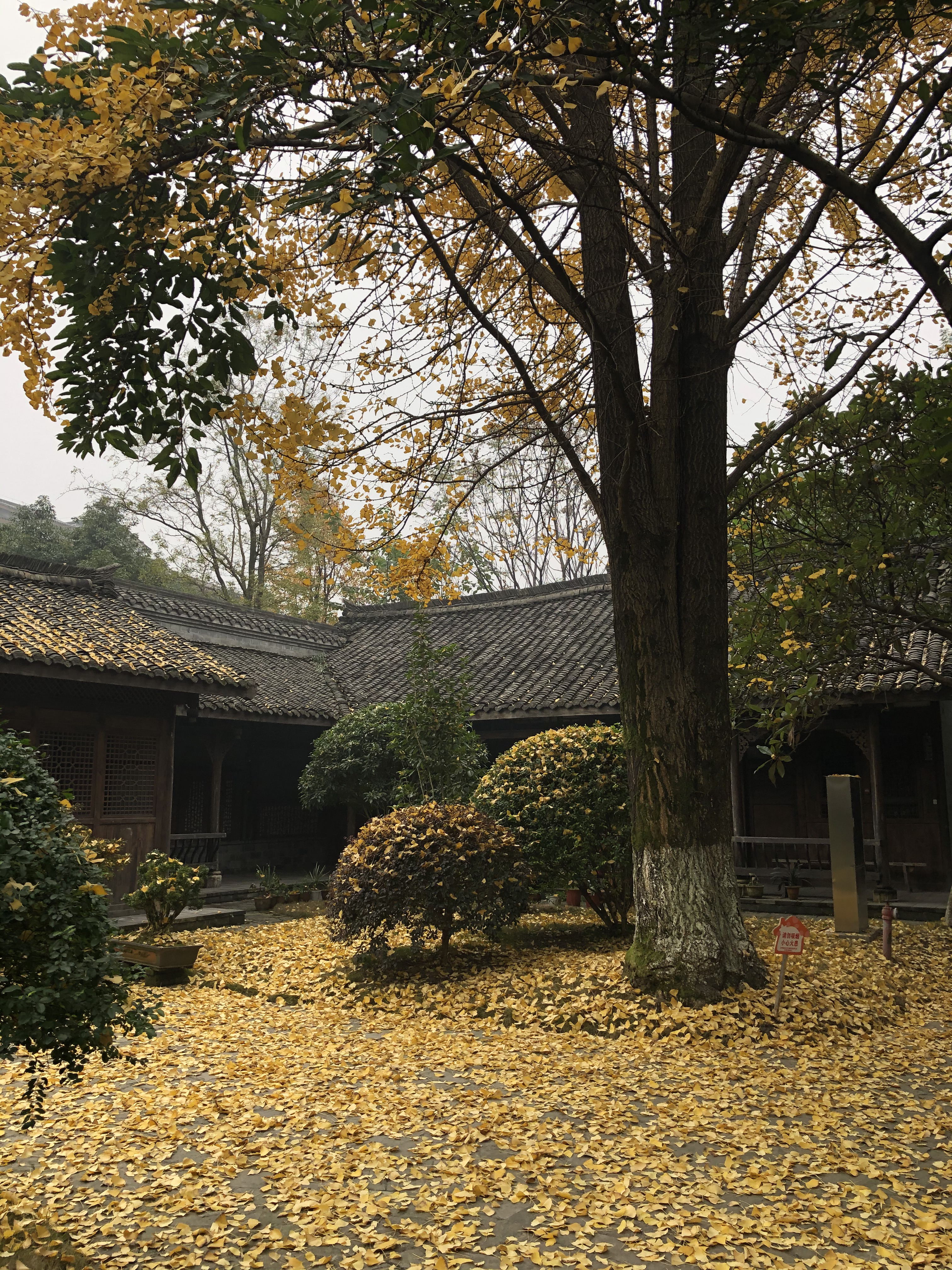 乐山沙湾郭沫若故居