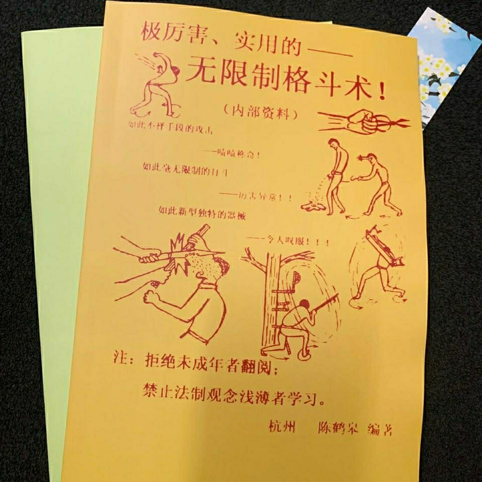 陈鹤皋"功夫是sr技" -疯狗