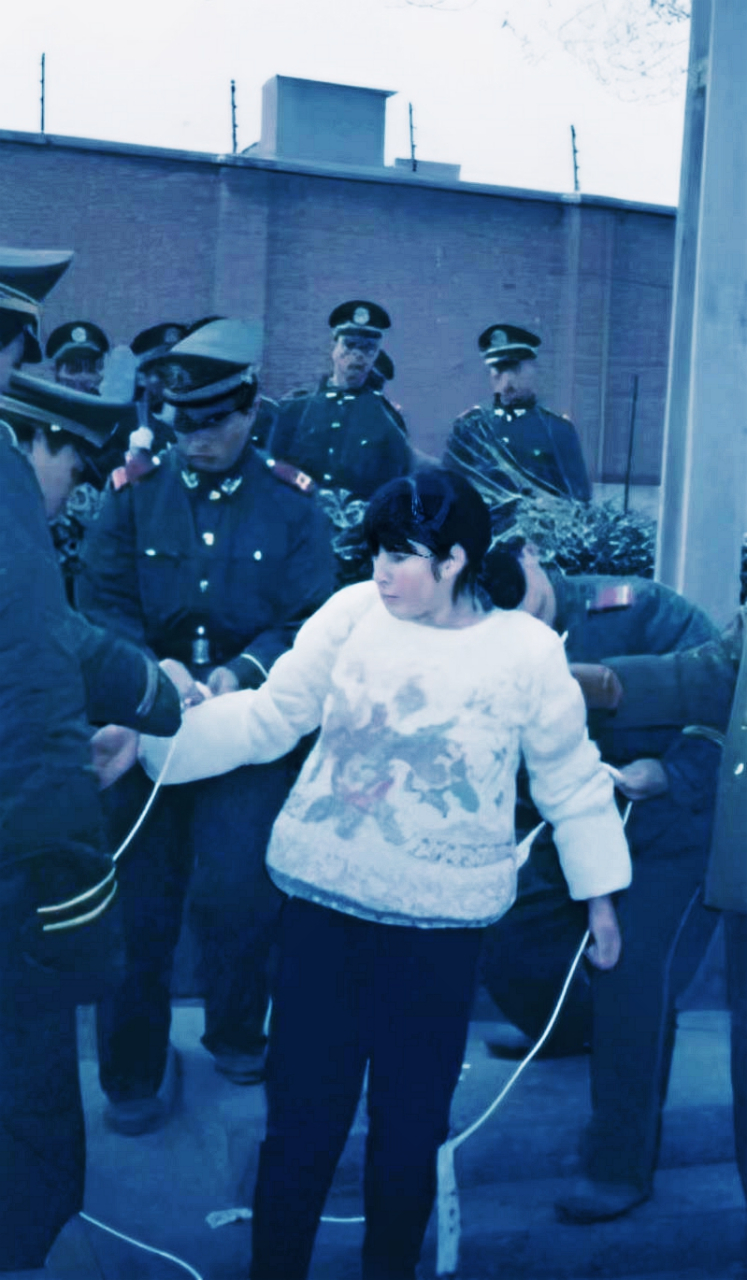 1995年,女死刑犯陆金凤即将被押上刑场.