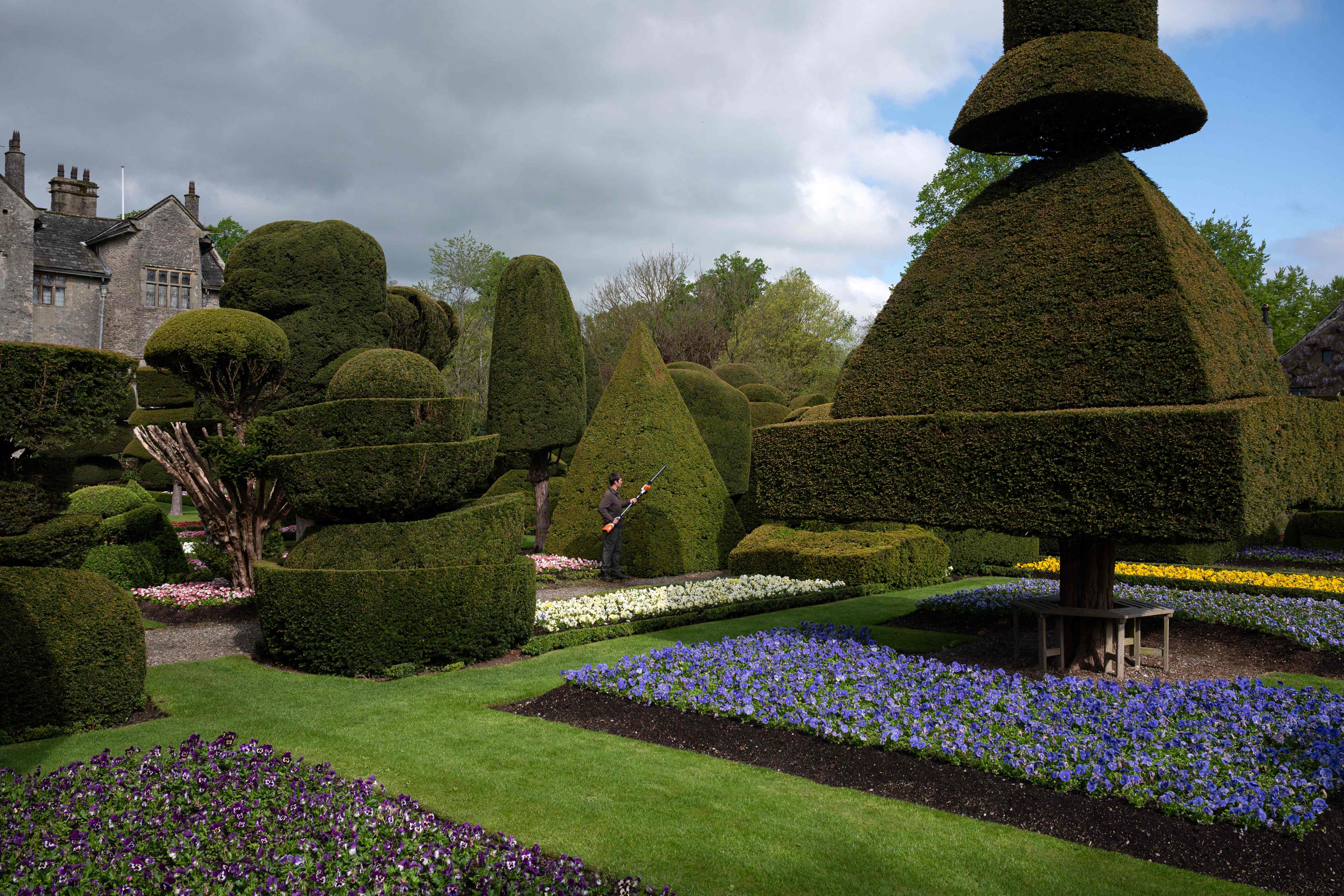 英国:为树木做造型