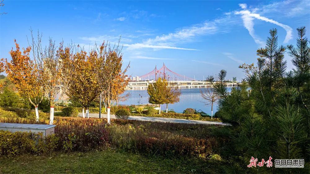 庆阳南湖公园冬日光影