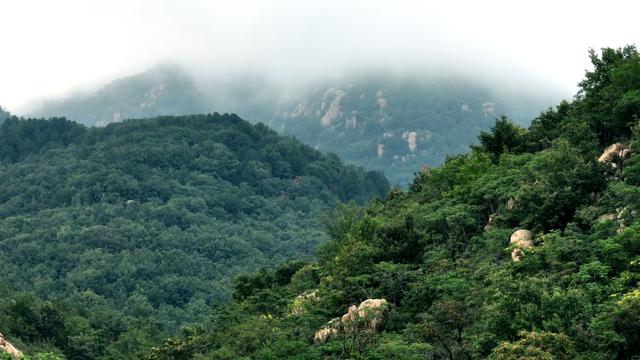 滕州莲青山:览一山翠色,享秋日美景