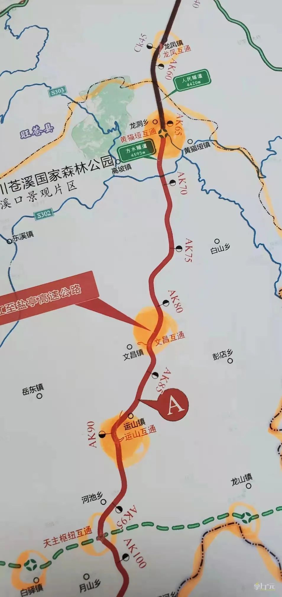 苍溪这几个乡镇终于要修高速了!-出走网