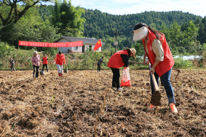 蓬溪县槐花镇:保障粮食安全 建好"天府粮仓"
